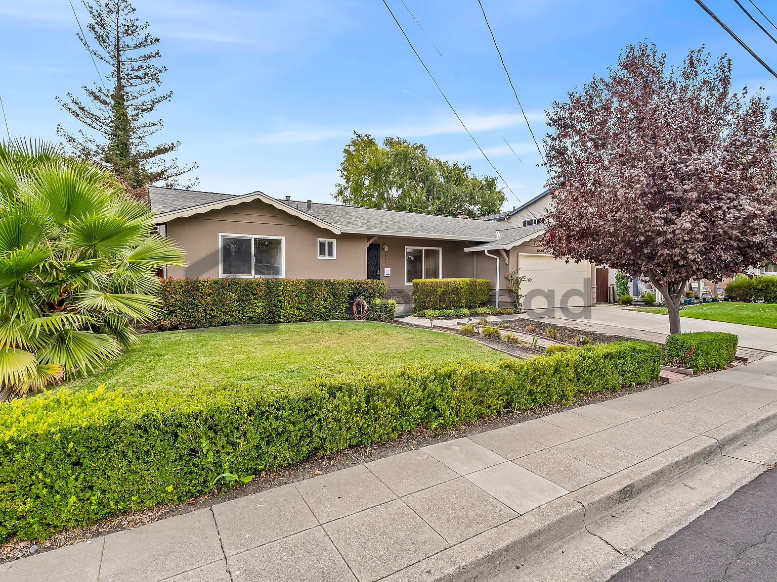 3 bed, 2.0 bath, 1246 sqft, $4,300 — Photo 4