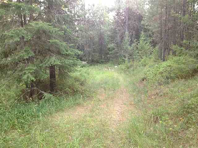 2nd image of 3921 Taylor Ranch Way