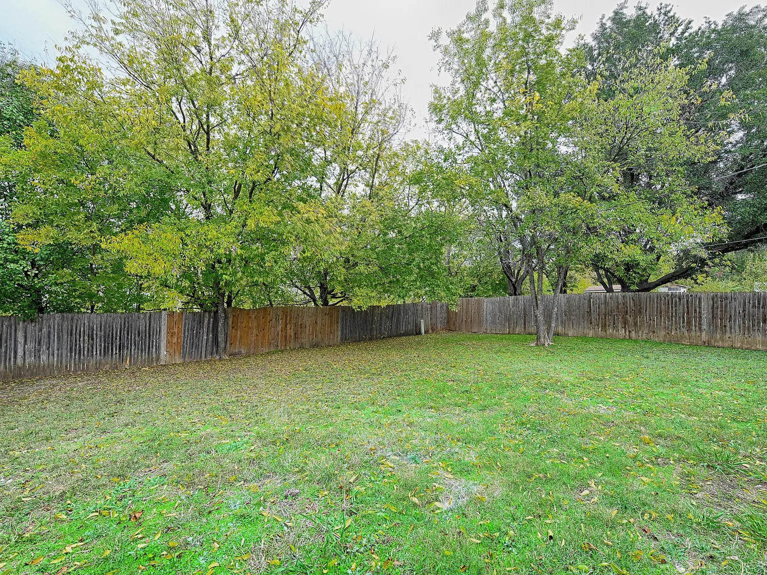 3 bed, 1125 sqft, $1,850 — Photo 3