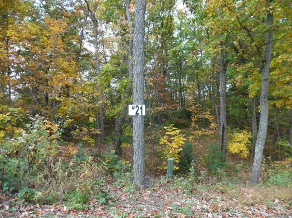 LOT 21 Raystown Dr, Huntingdon, PA 16652