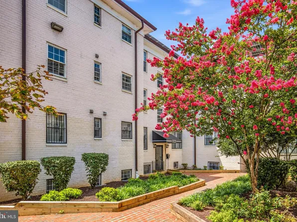 3221 8th St SE APT 1, Washington, DC 20032