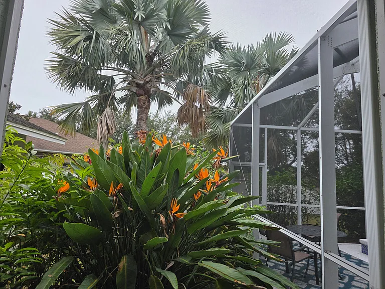 10709 Rockledge View Dr — Photo 12