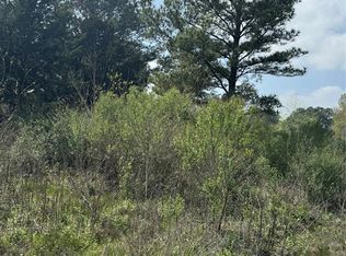 18501 College Ave, Waller, TX 77484