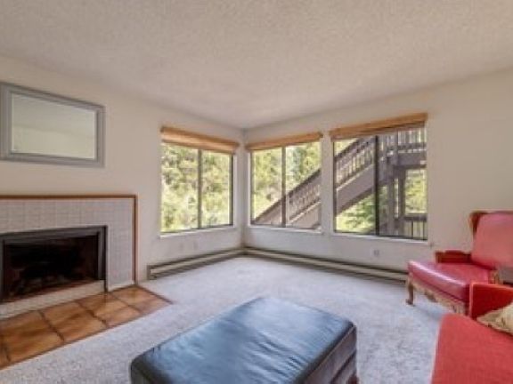 Open and light, semi-furnished living room, with creek views.