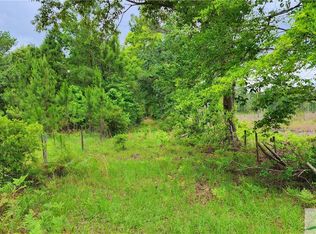 776 Mount Pleasant Rd, Clyo, GA 31303