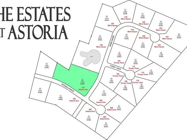 107 Astoria Ave, Round Top, TX 78954