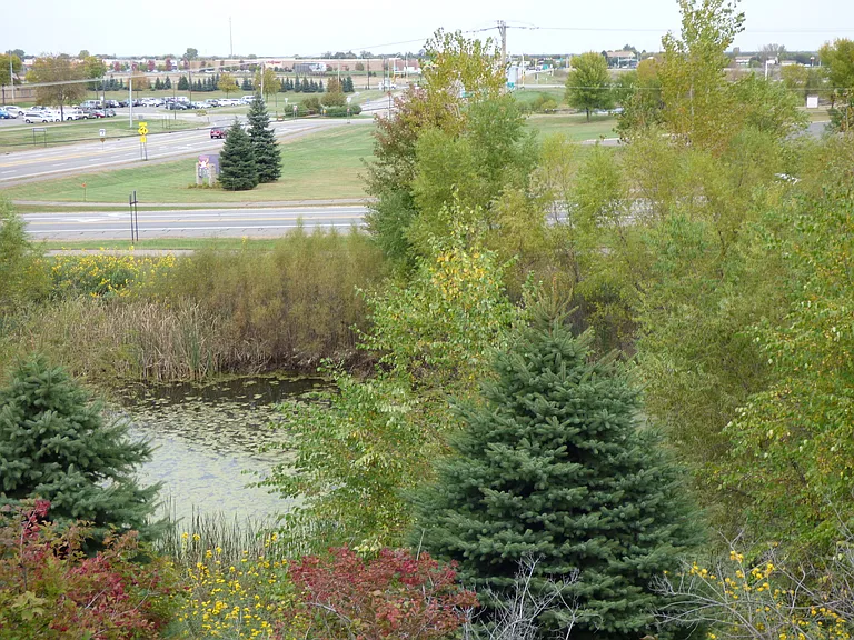 5793 Mount Curve Blvd — Photo 4
