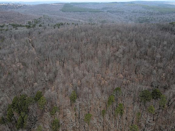 5th image of 0 Jack Vaughn Rd