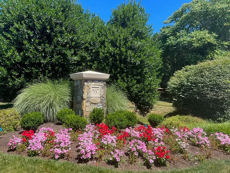 9909 Bald Cypress Dr — Photo 23
