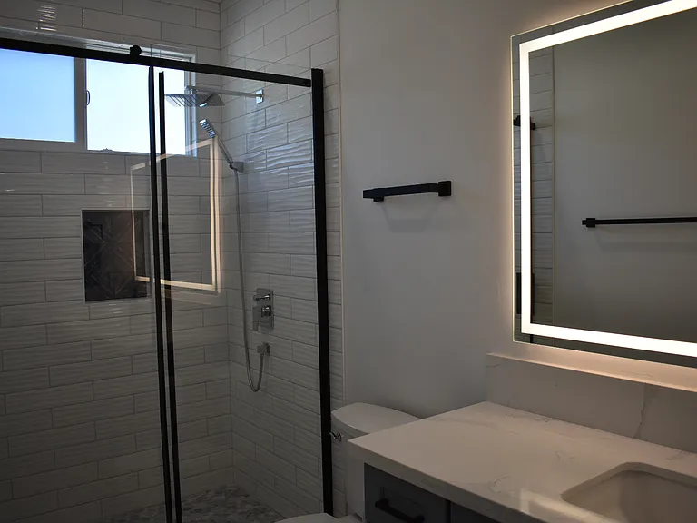 Walk-in shower and light-up mirror.