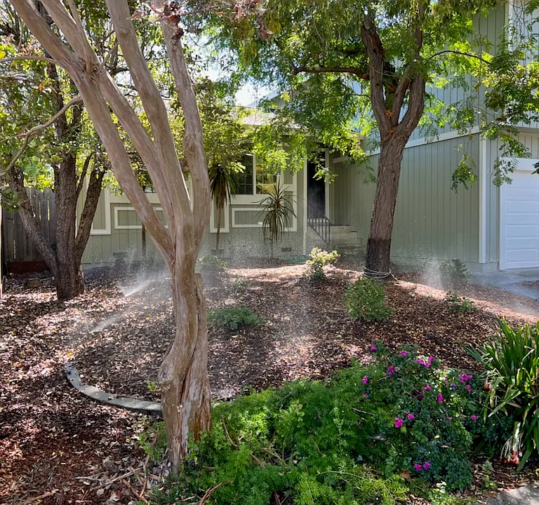 2473 Carriage Pl