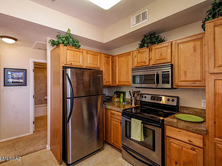 1500 E Pusch Wilderness Dr — Photo 7