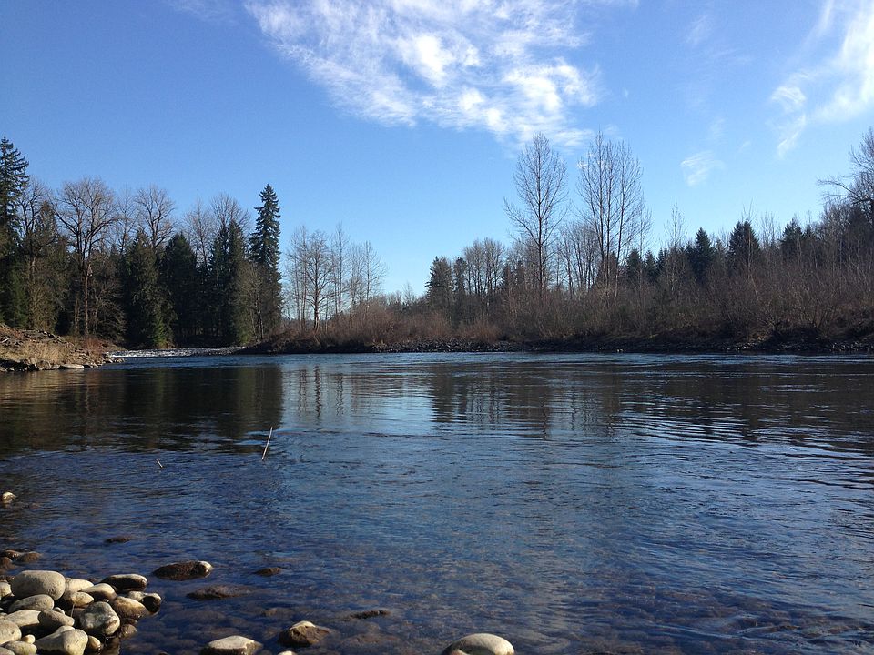 Steel head & Salmon Fishing