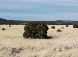 69 Pine Ridge Rnch, Vernon, AZ 85940