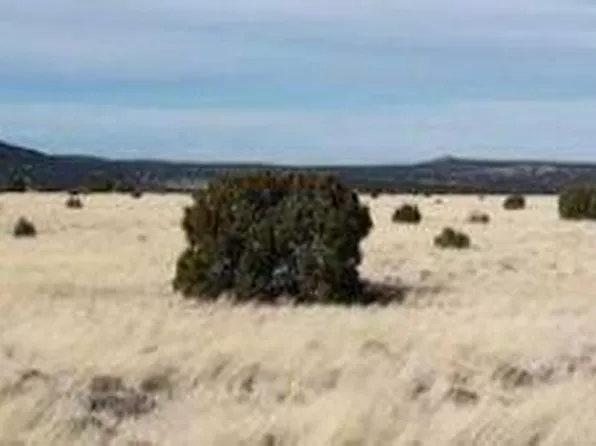 69 Pine Ridge Rnch, Vernon, AZ 85940