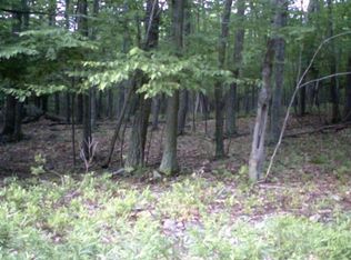 Squaw Valley Ln, Hawley, PA 18428