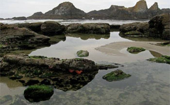 Seal Rock State Park