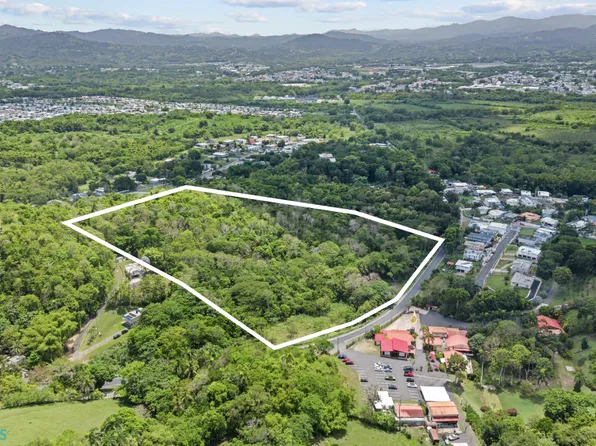 Km 36.8 Pr #181, San Lorenzo, PR 00754