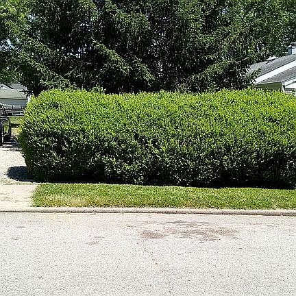 Street view of double lot
