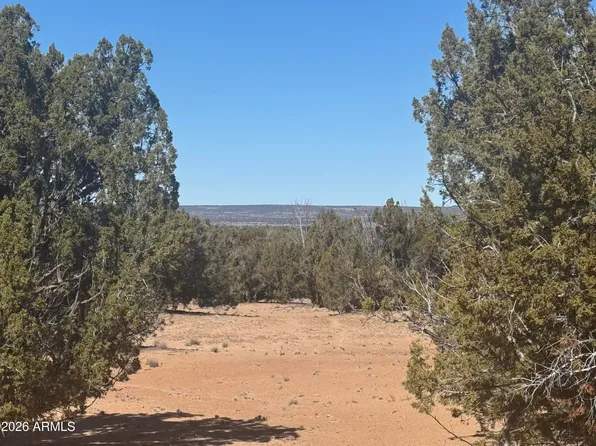 Lot 52 Witch Well Ranchos -- #52, St Johns, AZ 85936