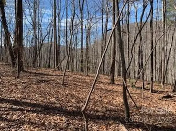 42 Green River Cove Rd, Saluda, NC 28773