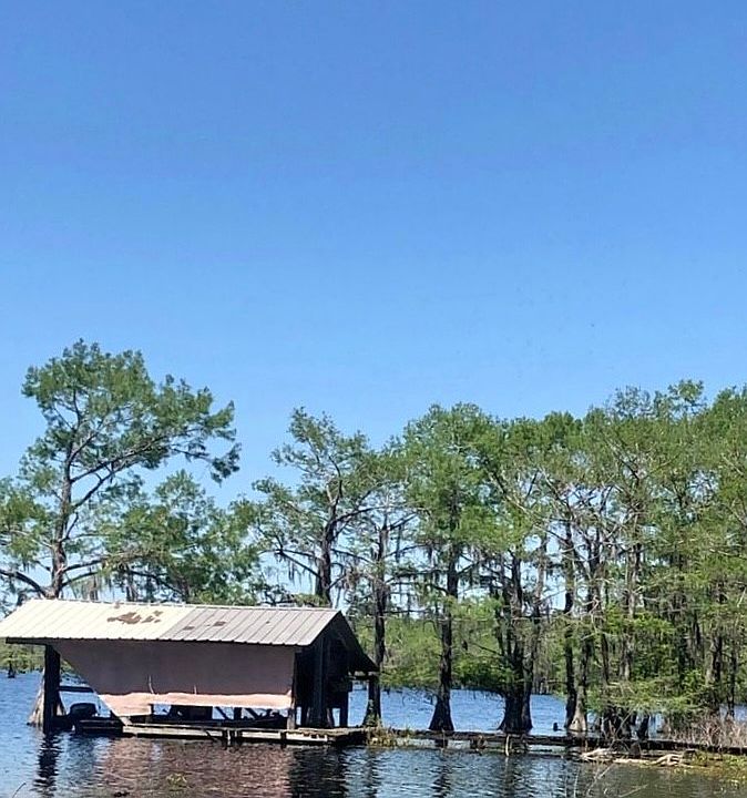 726 Benjamin Point Rd, Goldonna, LA 71031 MLS 20618548 Zillow