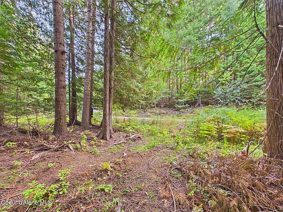 4th image of 2815 Bear Creek Rd