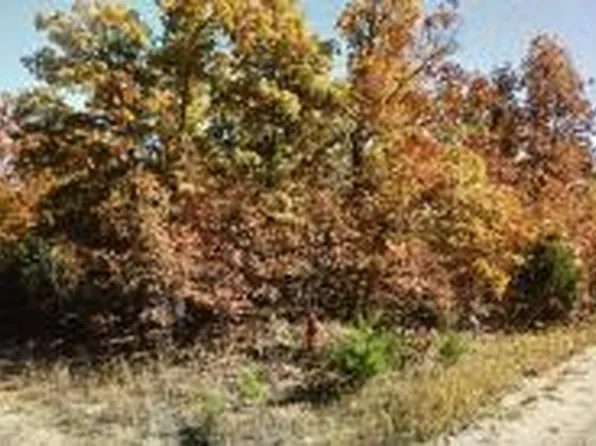 1006 Judge Drive, Horseshoe Bend, AR 72512