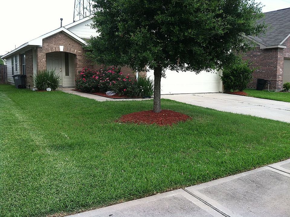 Front yard
