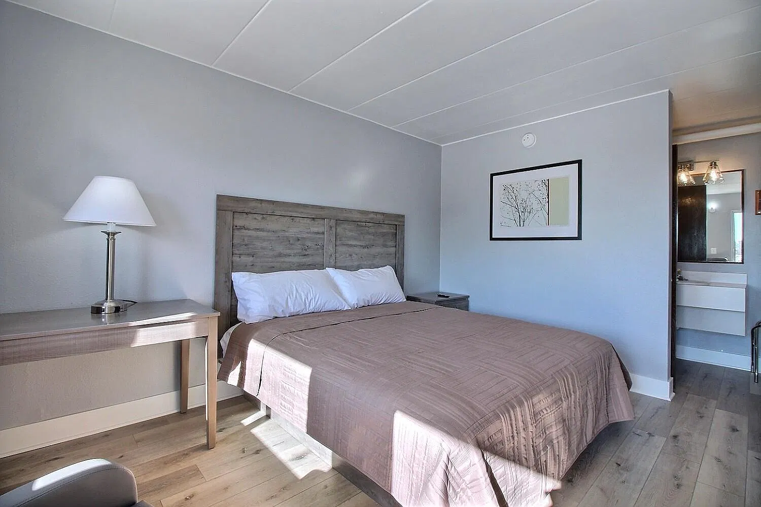 1 bed, 240 sqft, $795 — Photo 2