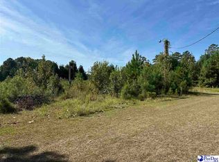 622 Willowtree Rd, Darlington, SC 29540