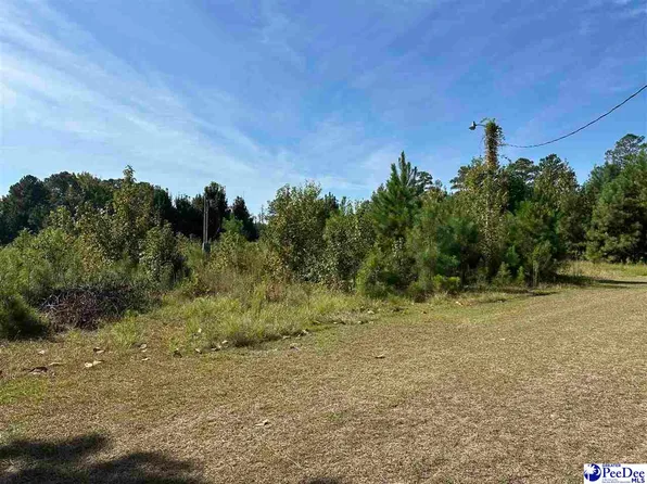 622 Willowtree Rd, Darlington, SC 29540