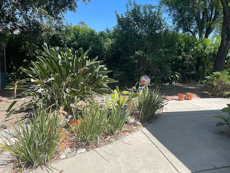 324 Sycamore Ave — Photo 13
