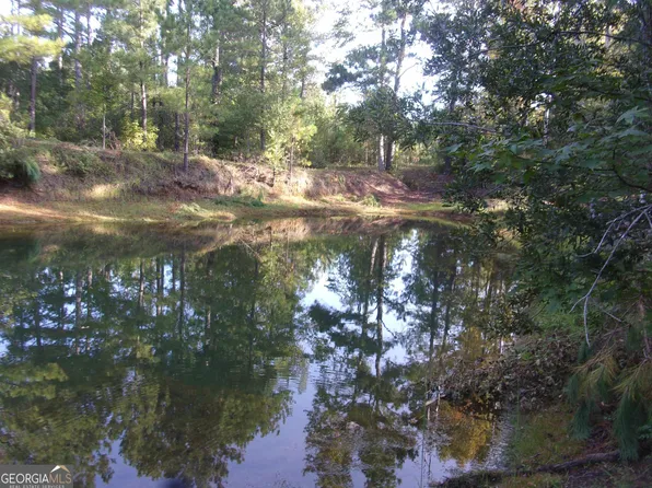 115 Stone Valley Ln, Davisboro, GA 31018