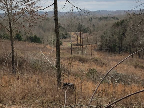 2nd image of 750 Hobart Rd