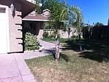 4th image of 6101 San Bristol Ct
