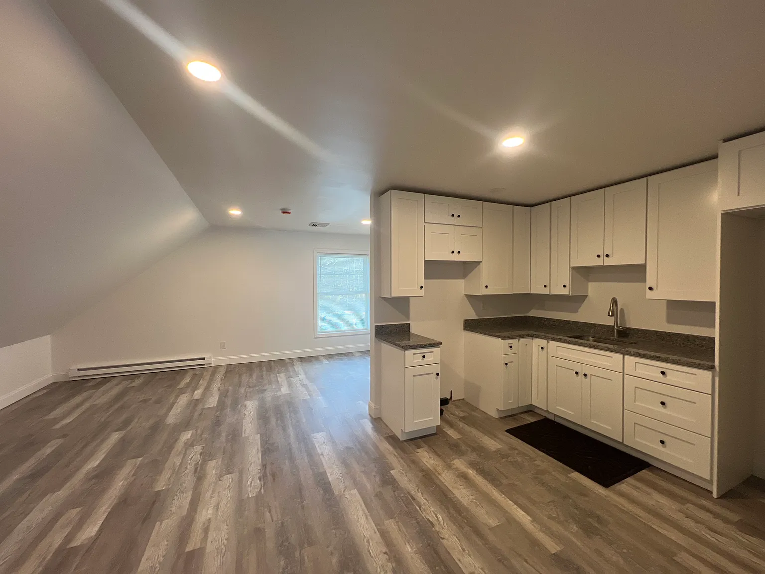 1 bed, 700 sqft, $1,600 — Photo 4