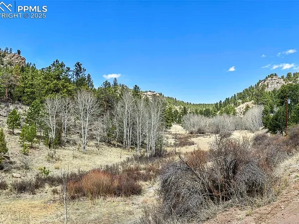 1077 Canyon Dr, Florissant, CO 80816