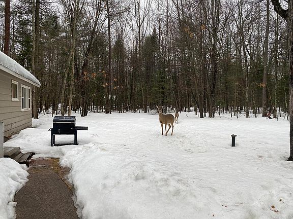 3rd image of 8140 Lost Lake Dr S