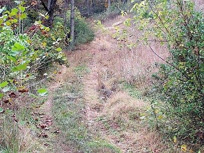 1st image of Route 5