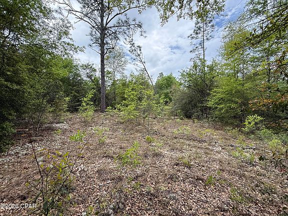 2nd image of 19678 Walsh Rd