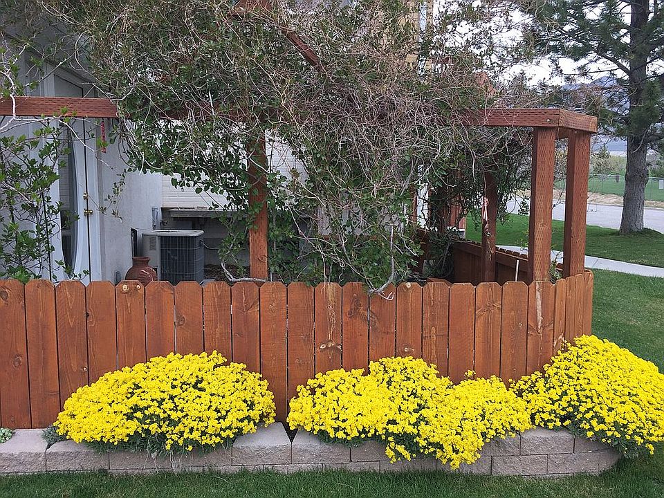 Lattice covered patio