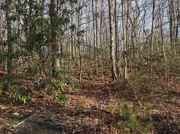 3 Swann Saddle Rd, Sevierville, TN 37876