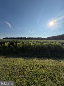 12543 Mallard Ln, Princess Anne, MD, 21853