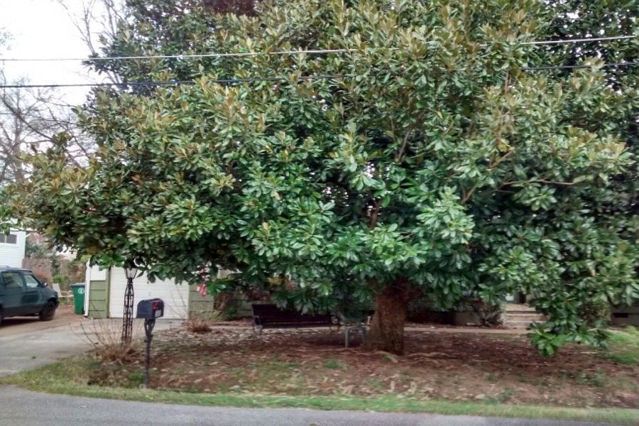 1st image of 5003 Covington Dr