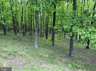 55 & 56 Sarah Lincoln Dr, New Creek, WV 26743