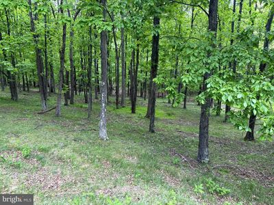 55 & 56 Sarah Lincoln Dr, New Creek, WV, 26743