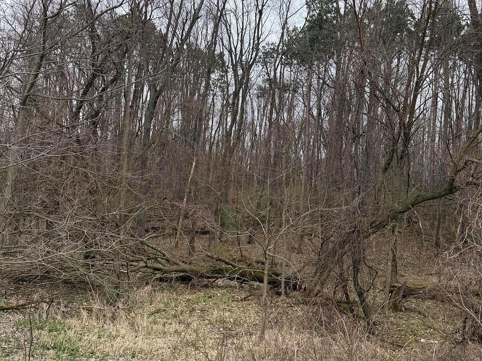 2nd image of Jacobs Rd
