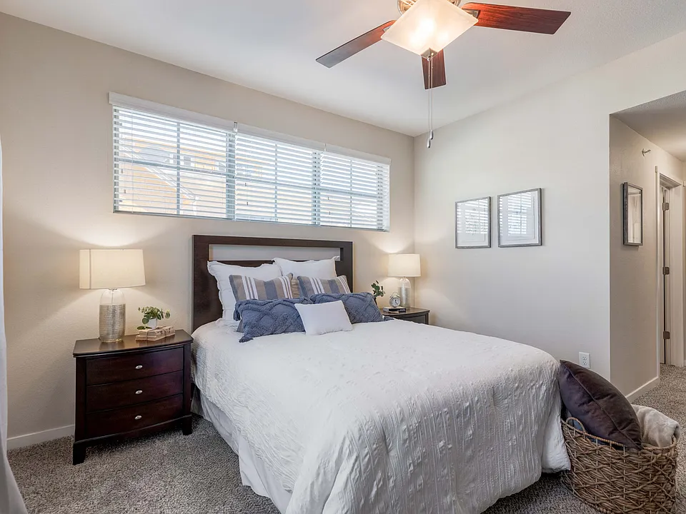 Designer Light Fixtures