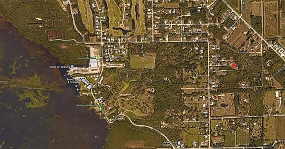 5th image of Guava Ave
